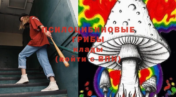 дмт Алексеевка
