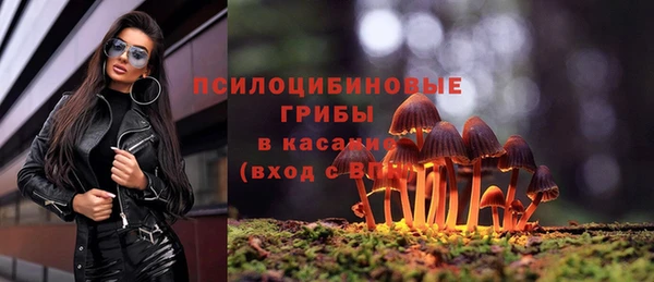 spice Алзамай