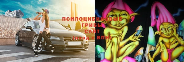 spice Алзамай