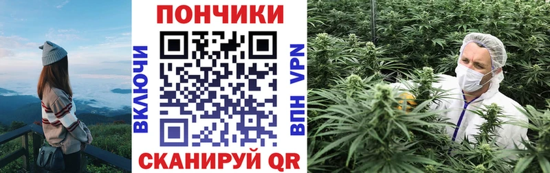 Бошки Шишки VHQ  наркота  Апшеронск 